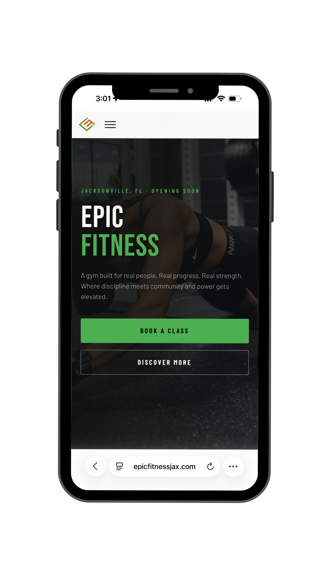 Mobile View websites (4)